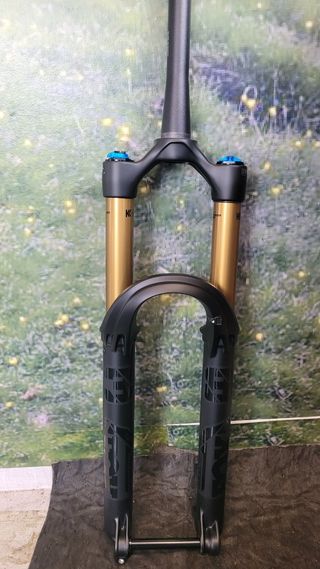 Fox 38 factory 170 29 Ebike