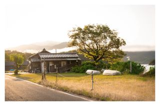 Sony A6400 + 18-135mm y 50mm f1.8 y más!