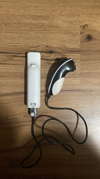 Nintendo Wii