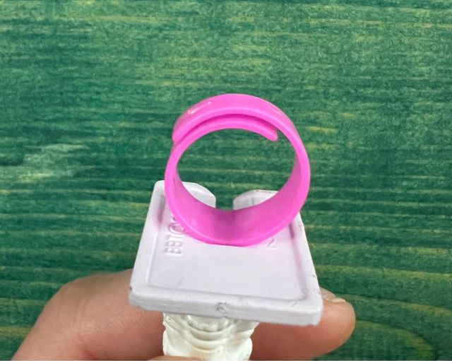 Collana e anello Polly Pocket