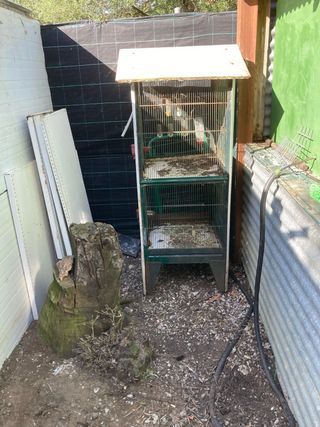 Jaulas cria canario i gallinas ponedoras