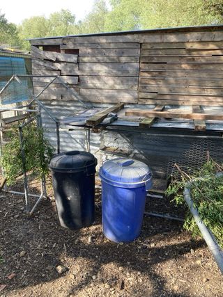 Jaulas cria canario i gallinas ponedoras