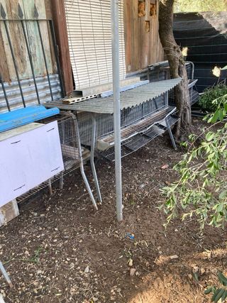 Jaulas cria canario i gallinas ponedoras
