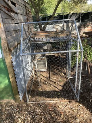 Jaulas cria canario i gallinas ponedoras
