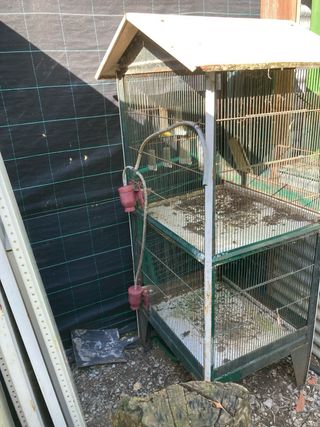 Jaulas cria canario i gallinas ponedoras