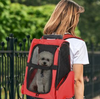 Transportín para perro