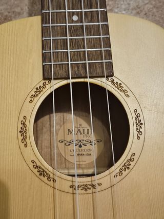 Ukulele concerto Maui Pro