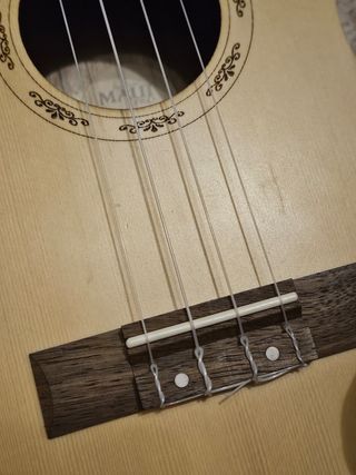 Ukulele concerto Maui Pro