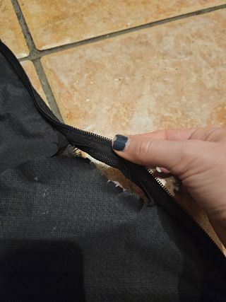 Ukulele concerto Maui Pro