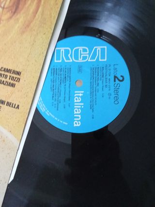 Vinile festival bar 83