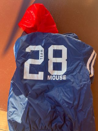 Chaqueta mickey mouse