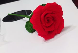 Rosas Sant Jordi