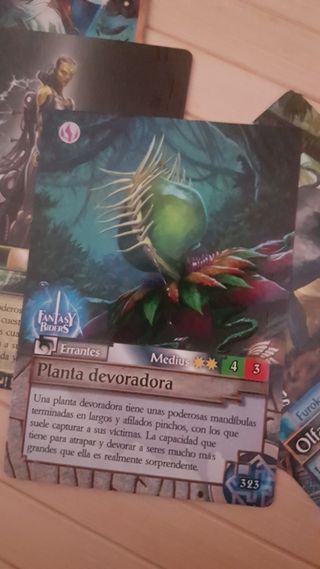 Cartas Fantasy Riders New Worlds