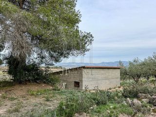 Terreno en venta en Móra d´Ebre
