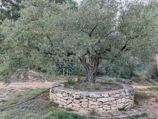 Terreno en venta en Móra d´Ebre