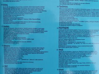 Piscina fenicottero gonfiabile nuova