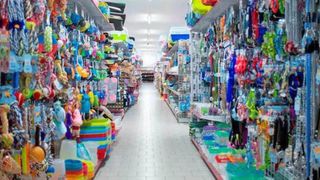 Dependienta/Reponedora