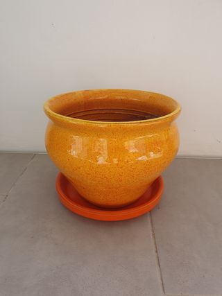 Maceta 25 cm 