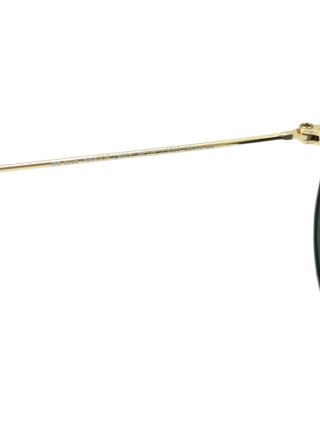 Gafas de sol Ray-Ban New Round RB3637 001/51