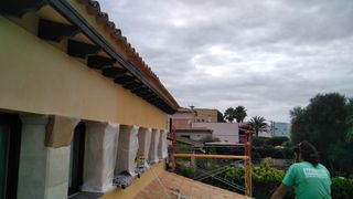 Pintor profesional