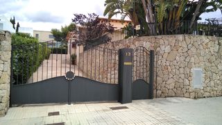 Pintor profesional