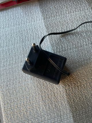 Leva Pelucchi Shuangli