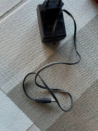 Leva Pelucchi Shuangli