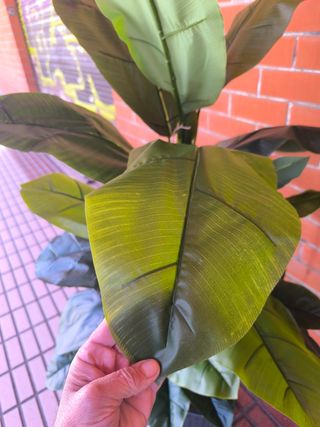 Platanera artificial