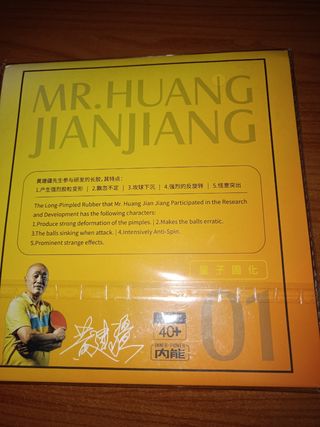 Tennis tavolo,Mr.Huang Jianjiang ox black 
