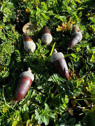 Casa rural para grupos con piscina y chimenea
