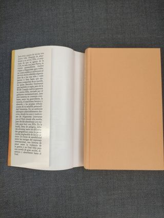 El valle de los leones / Kent Follett ; traducción de Valeria Watson ; ilustración de la portada de Jordi Oliver