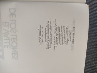 El valle de los leones / Kent Follett ; traducción de Valeria Watson ; ilustración de la portada de Jordi Oliver