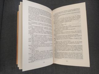 El valle de los leones / Kent Follett ; traducción de Valeria Watson ; ilustración de la portada de Jordi Oliver