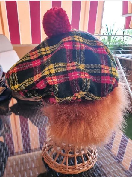 5 GORROS CARNAVAL / DISFRACES