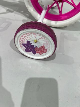Bicicleta princesas