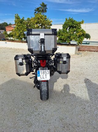 Triumph tiger 1200 alpine