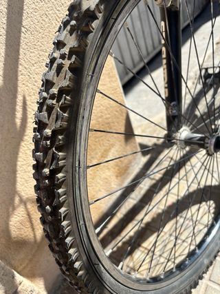 BICILCLETA CORONA DE COMPETICIÓN