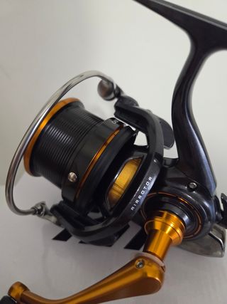 daiwa cast'zim 25 QD