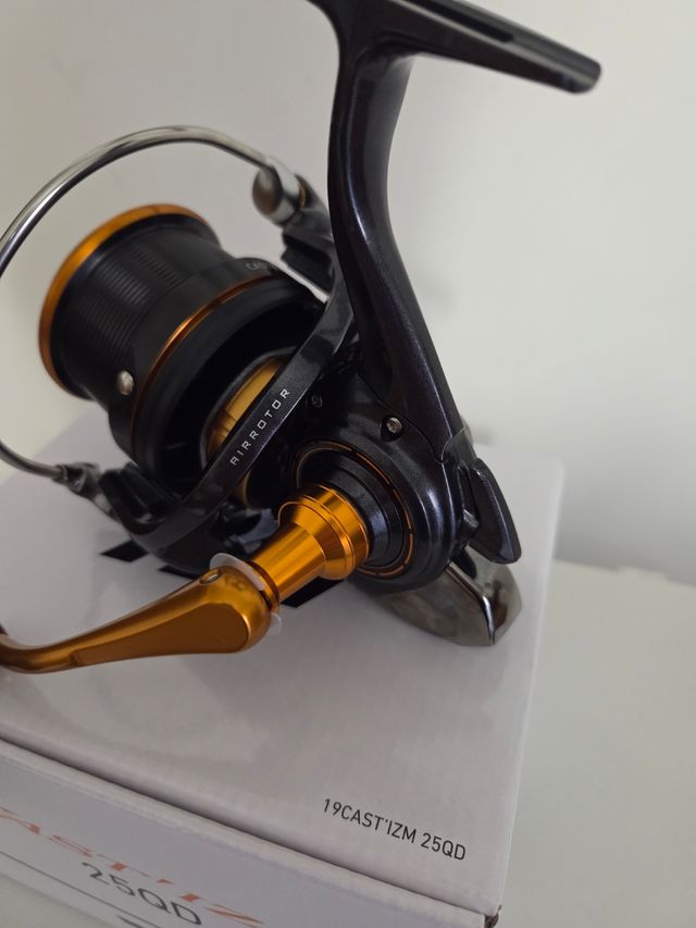 daiwa cast'zim 25 QD