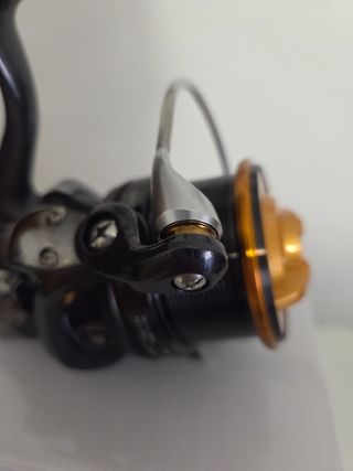 daiwa cast'zim 25 QD