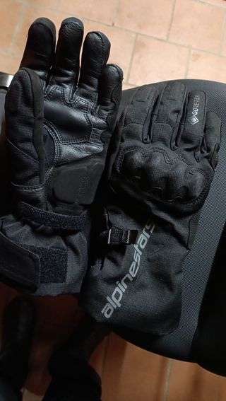 Alpinestars wr-x gtx 