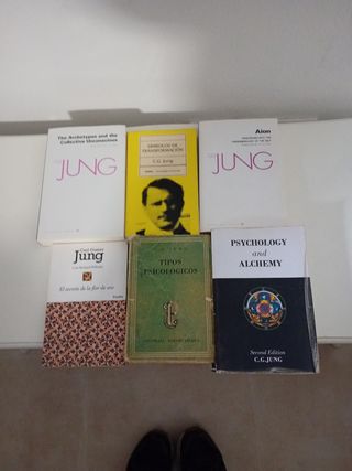 Colecion de libros CG JUNG