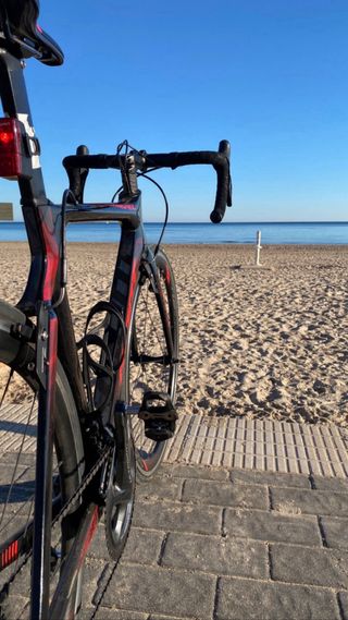 Giant Propel Advanced 1 2020