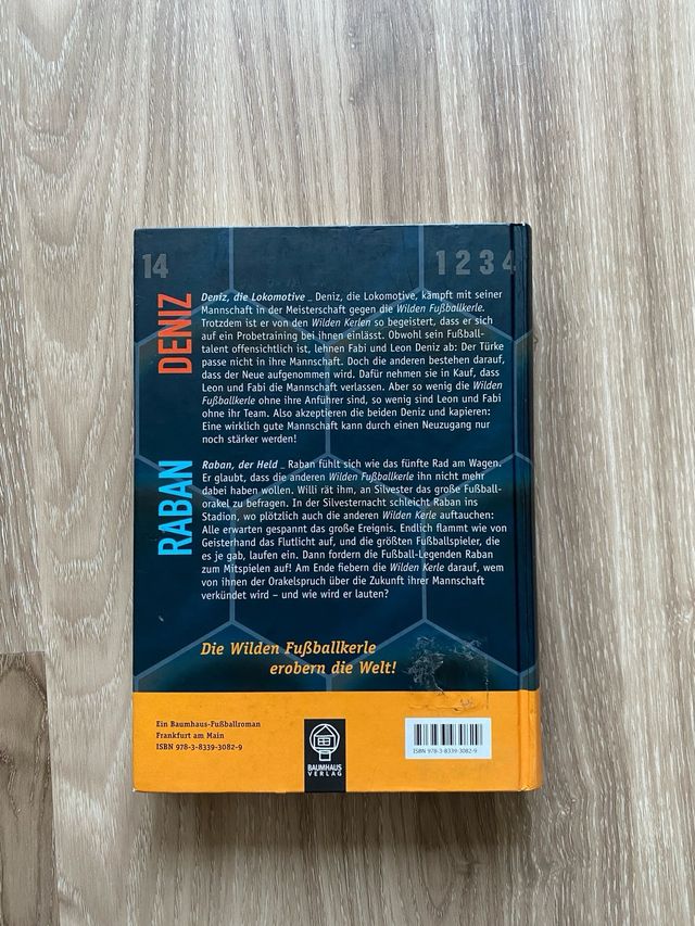 Die Wilden Fuballkerle Doppelband Deniz Raban