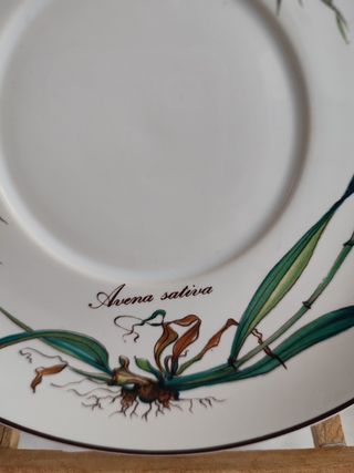 Plato porcelana Villeroy y Boch