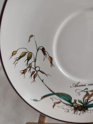 Plato porcelana Villeroy y Boch