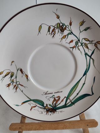 Plato porcelana Villeroy y Boch
