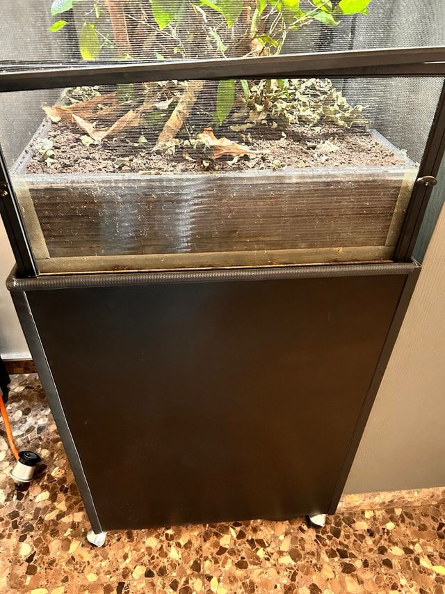 Se vende terrario