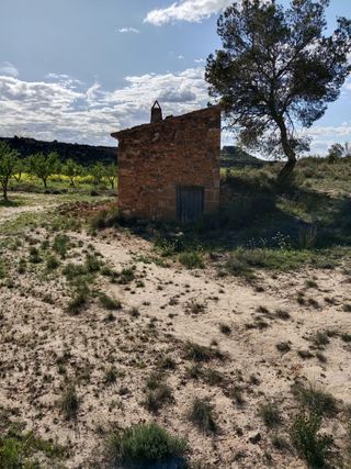 Terreno con Almendros