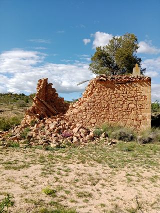 Terreno con Almendros